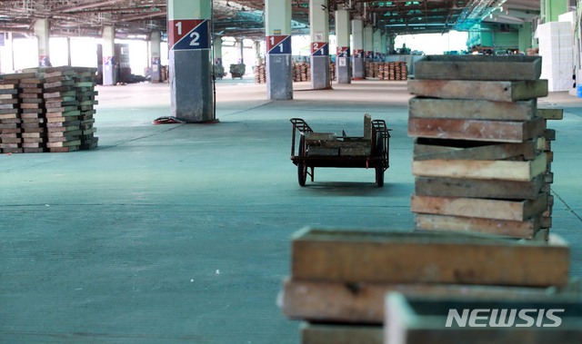 부산공동어시장 종사자 연쇄감염에 위판업무 중단(종합)