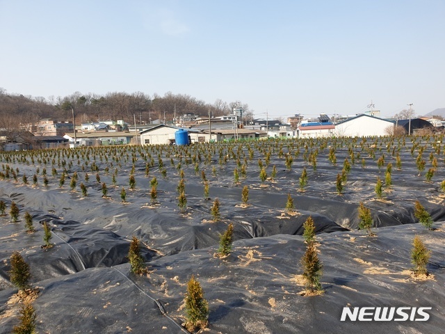 광명·시흥 신도시 예정지구 투기 의혹 현장.