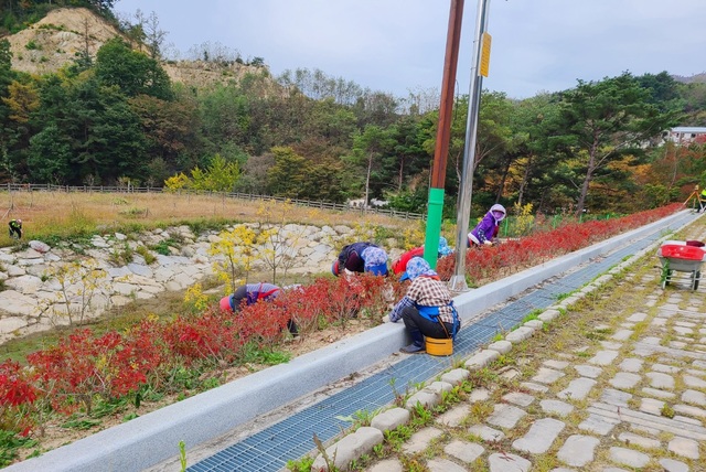 [함양=뉴시스] 함양군 희망일자리사업 추진. *재판매 및 DB 금지