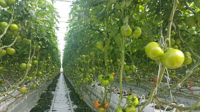 '지평선의 고장' 김제시 자립농정에 980억 투입한다 