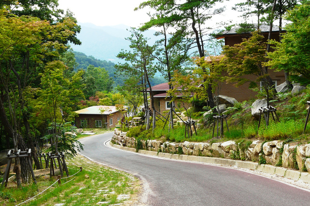 옥성자연휴양림 (사진=구미시 제공) *재판매 및 DB 금지