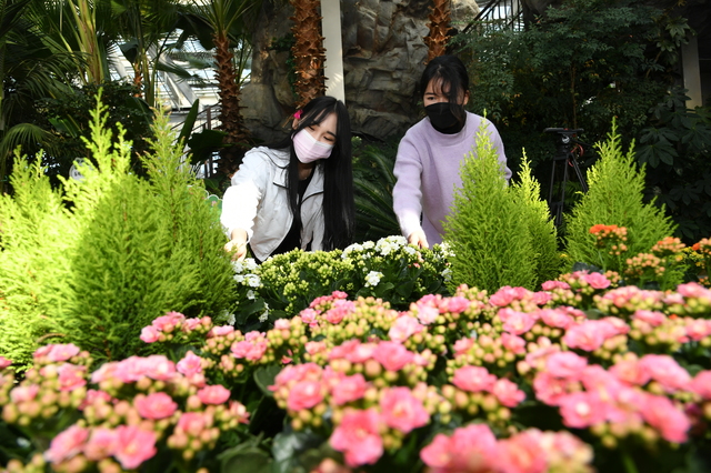 *재판매 및 DB 금지