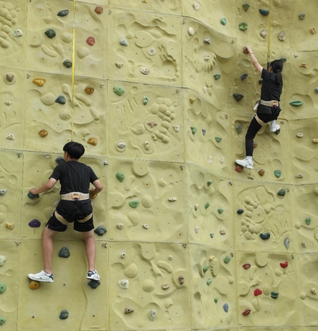[안동=뉴시스] 안동학생수련원에서 진행되고 있는 인공암벽 등반 과정 모습. (사진=경북교육청 제공) 2026.01.13 *재판매 및 DB 금지