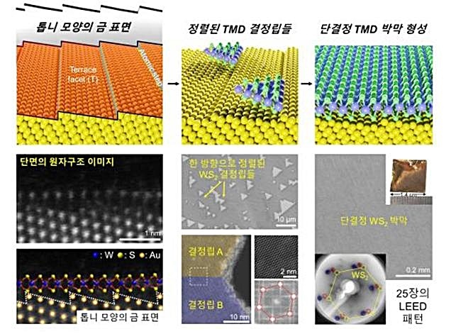 [대전=뉴시스] 단결정 2차원 반도체 합성 모식도 및 실제 실험 결과. *재판매 및 DB 금지