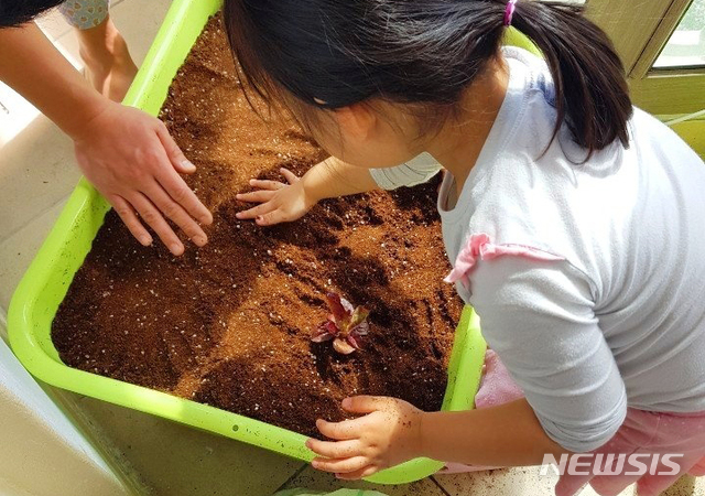 [울산=뉴시스] 텃밭상자에 씨앗 심는 어린이. (사진=뉴시스 DB). photo@newsis.com 