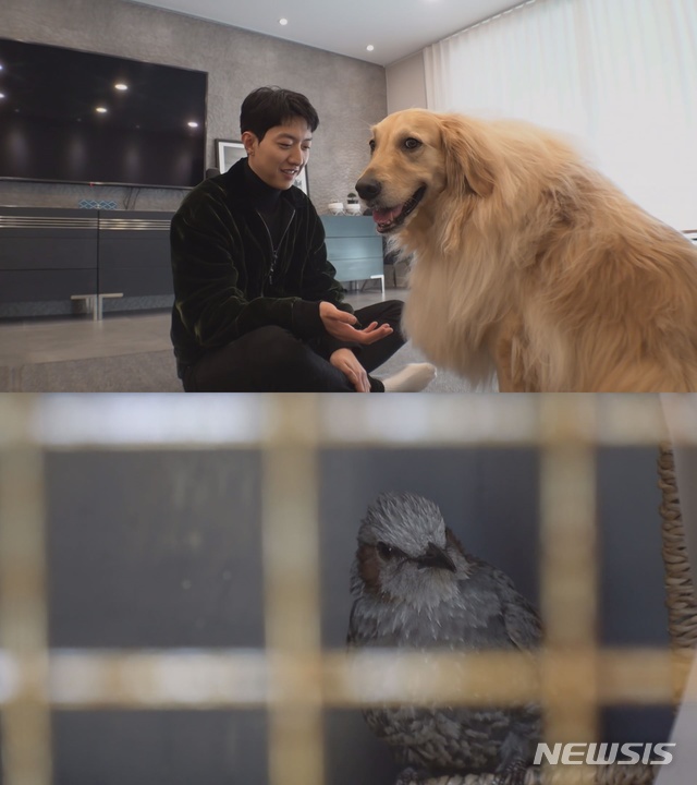 [서울=뉴시스]스페셜 게스트 '씨엔블루'의 이정신과 함께 한 TV동물농장이 21일 방송된다. (사진=SBS 제공) 2021.03.19. photo@newsis.com