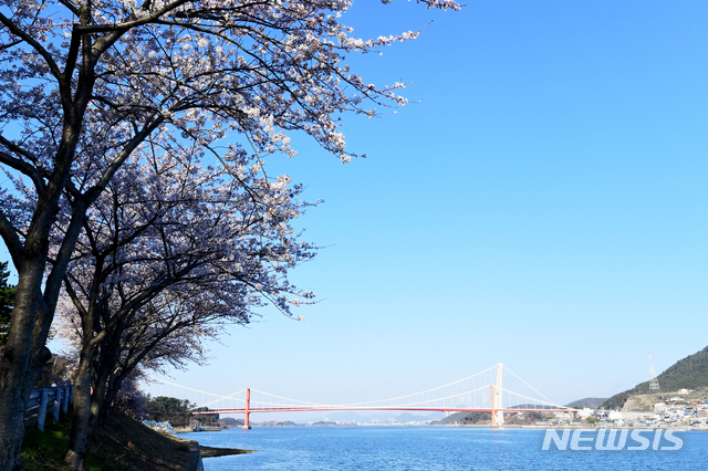 [남해=뉴시스]차용현 기자 = 꽃샘추위가 찾아온 22일 오전 경남 남해군 설천면 왕지 벚꽃길에 벚꽃이 꽃망울을 터뜨려 눈길을 끌고 있다. 이곳 벚꽃은 이번 주말쯤 절정을 이룰 것으로 보인다. 2021.03.22. con@newsis.com