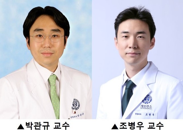 연세대 세브란스병원 정형외과 박관규 교수, 강남세브란스병원 정형외과 조병우 교수 연구팀은 60세 이상 한국인을 대상으로 무릎 통증과 고콜레스테롤혈증 간의 상관관계를 분석한 연구 결과를 24일 발표했다. *재판매 및 DB 금지