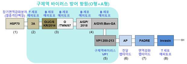 구제역 백신용 면역강화제 구조(사진=농림축산검역본부) *재판매 및 DB 금지