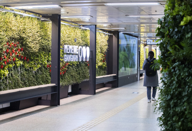 [서울=뉴시스] 서울 강남구의 '청담역 미세먼지 프리존' 재정비 후 모습. (사진=강남구 제공) 2021.03.24. photo@newsis.com *재판매 및 DB 금지