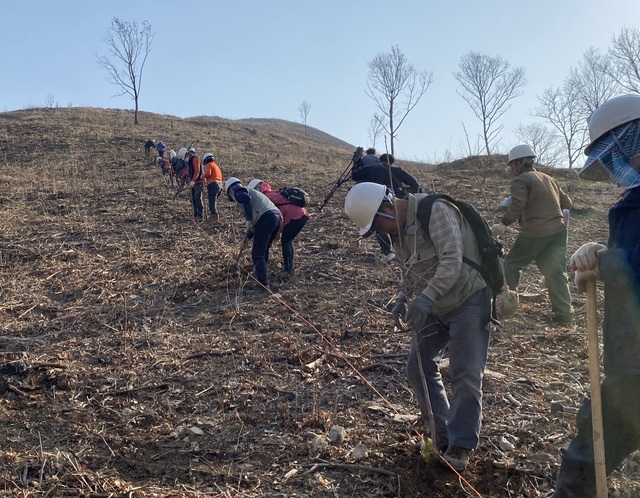 [안동=뉴시스] 지난 2021년 '안동 대형 산불' 피해지에서 복구조림 작업이 진행되고 있다 (사진=안동시 제공). *재판매 및 DB 금지