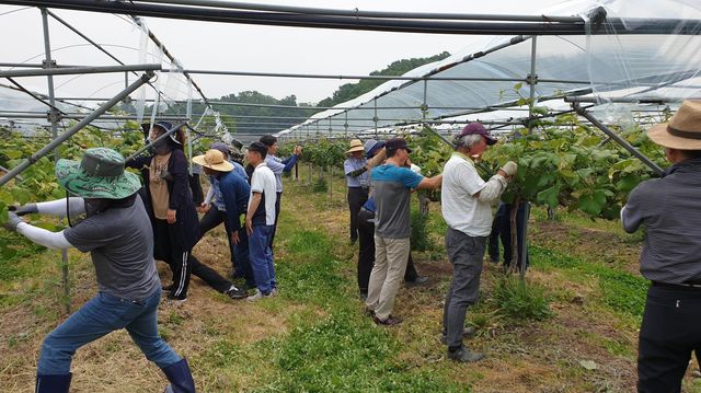 귀농귀촌대학 실습 모습. *재판매 및 DB 금지