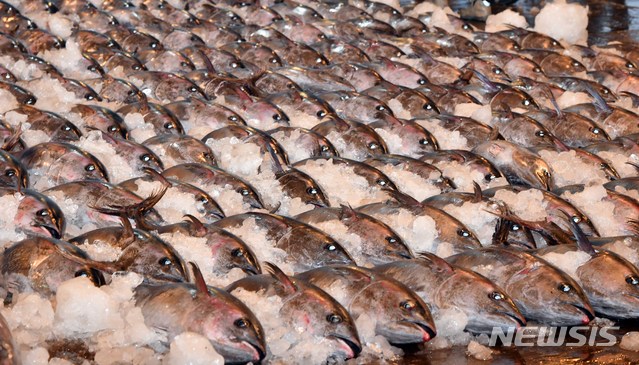 뉴시스 자료사진