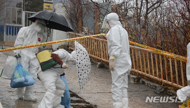 [인천=뉴시스] 김동영 기자 = 27일 오후 2시께 인천 강화군 길상면의 한 선택분교에서 발생한 코로나19 집단감염사태와 관련 분교에서 문을 잠근 채 방역 당국에 협조하지 않고 있던 확진자 4명이 방호복을 입은 채 걸어나오고 있다. 이들은 인천생활치료센터로 이송돼 치료를 받을 예정이다. 2021. 3.27. dy0121@newsis.com