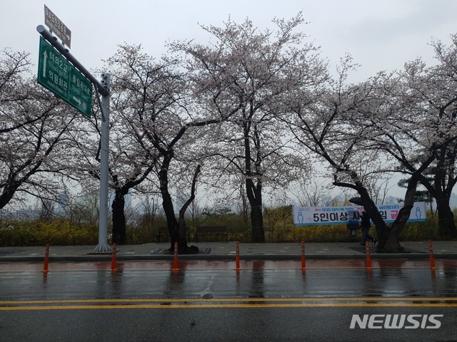 [서울=뉴시스]이윤희 기자 = 27일 찾은 서울 영등포구 여의도 윤중로의 모습.  