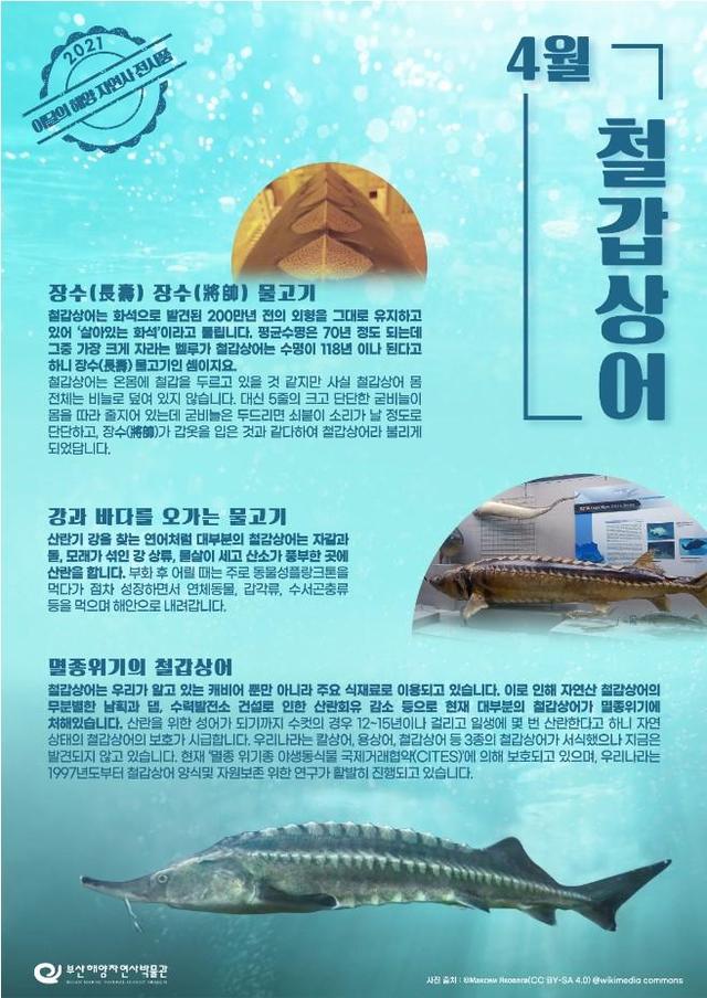 *재판매 및 DB 금지