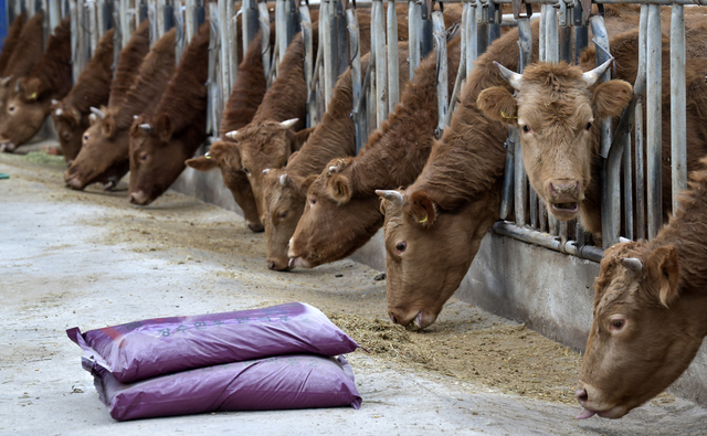 보은·옥천군, 농식품부 '축산악취 개선' 공모사업 선정