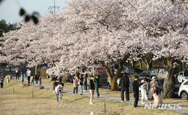 [제주=뉴시스]우장호 기자 = 맑은 날씨를 보인 26일 오후 제주대학교를 찾은 시민들이 활짝 핀 왕벚꽃나무 아래서 모처럼 즐거운 시간을 보내고 있다. 2021.03.26. woo1223@newsis.com 