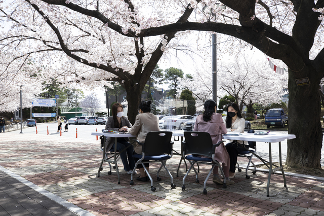 [대전=뉴시스]유순상 기자 =배재대 대학일자리플러스본부 취업 컨설턴트들이 지난달 30일 벚꽃이 만개한 교내 스마트배재관 앞에서 재학생들에게 진로·취업상담을 해주고 있다.(사진=배재대 제공).2021.03.30 *재판매 및 DB 금지