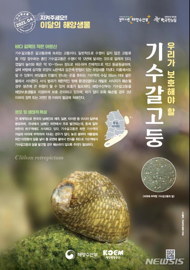 [서울=뉴시스] 4월의 해양생물 포스터.