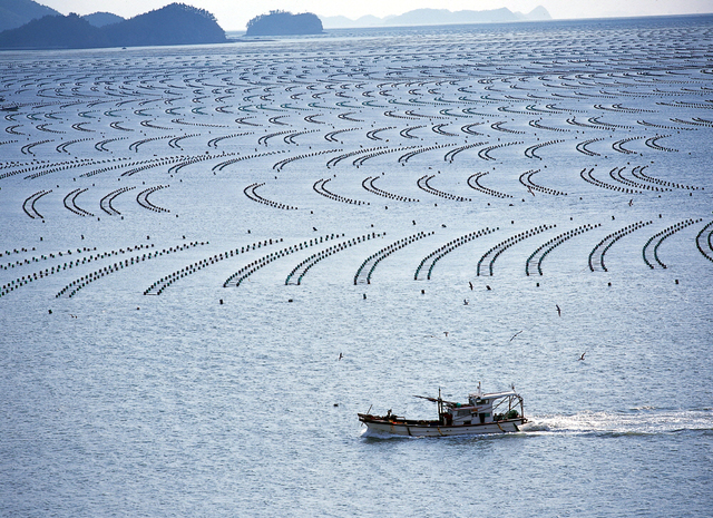 [해남=뉴시스] 해남 송지 김양식장. (사진=해남군 제공) 2021.03.31. photo@newsis.com *재판매 및 DB 금지