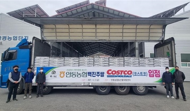 안동농협 백진주쌀, 코스트코 입점…연간 200t 납품