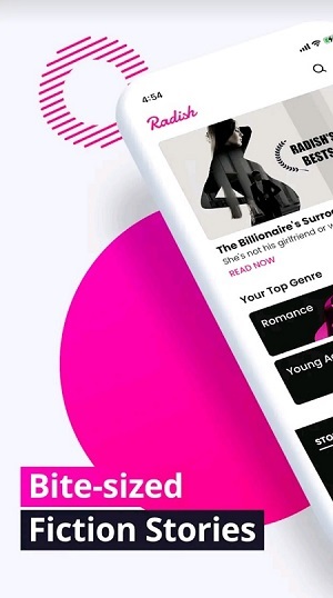 카카오, 웹소설 플랫폼 '래디쉬' 인수 추진…네이버에 맞불