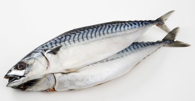 롯데마트 '노르웨이 자반 고등어' *재판매 및 DB 금지