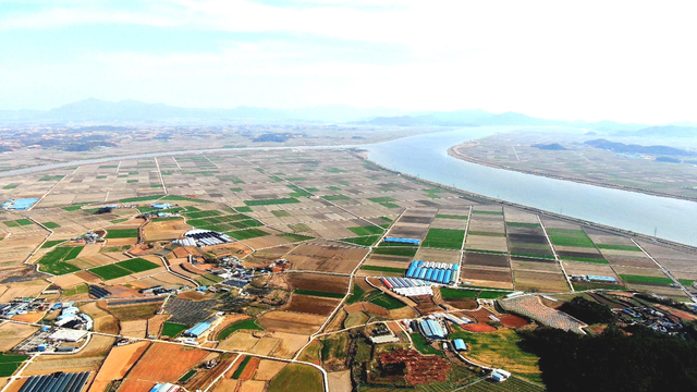 [나주=뉴시스] 이창우 기자 = 13일 과거 간척사업으로 조성된 곡창지대인 전남 나주시 동강면 장동 들녘에 봄기운이 완연한 가운데 녹색의 생명력이 깃들고 있다. 하지만 이곳 들녘에서 태양광발전단지 조성을 위한 '염해(鹽害) 측정' 바람이 불고 있어 논란이다. 2021.03.30. lcw@newsis.com *재판매 및 DB 금지