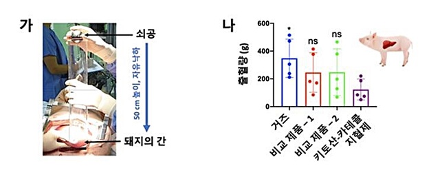 [대전=뉴시스]비임상시험에서 키토산-카테콜 지혈제의 지혈 효과. 왼쪽은 돼지 간에 쇠공을 떨어뜨려 교통사고와 비슷한 출혈을 일으키는 장면이고 오른쪽은 출혈 후 지혈될 때 까지의 총 출혈량.   *재판매 및 DB 금지