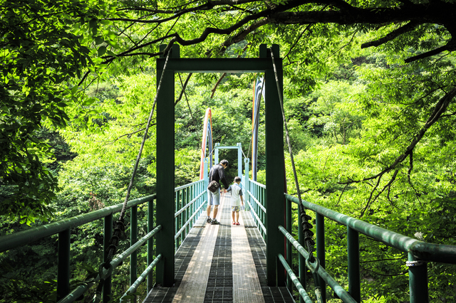 의성 빙계계곡 (사진=의성군 제공) *재판매 및 DB 금지
