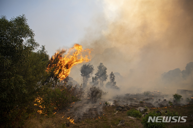 [케이프타운= AP/뉴시스] 4월18일 발생한 남아공 케이프타운의 테이블마운틴 산불이 오랜 문화재와 주택들을 태우고 근처의 케이프타운 대학교 캠퍼스로 옮겨 붙고 있다.&nbsp; 