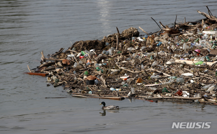 [베오그라드(세르비아)=AP/뉴시스] 지난 4월19일(현지시간) 세르비아 베오그라드 사바강에 플라스틱 쓰레기가 쌓여있는 모습. 2021.11.09.