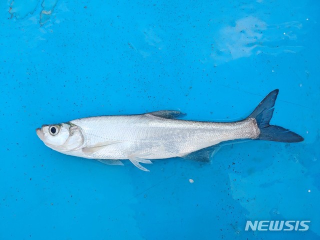 [홍성=뉴시스] 강준치