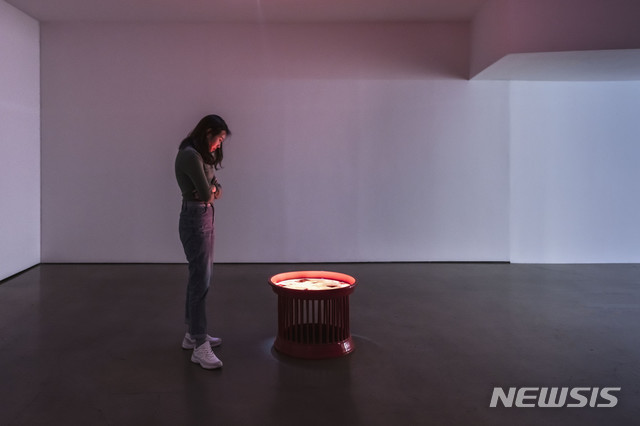 [서울=뉴시스] 박현기, 만다라 시리즈, 1997-1988, 싱글 채널 비디오, 컬러, 사운드, 캔톡, 가변크기 (사진 제공 = 갤러리현대)