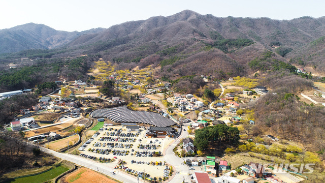 [이천=뉴시스]경기 이천시 백사면 산수유마을 전경