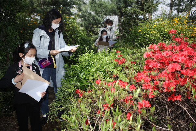 [서울=뉴시스} ‘풀 지도 그리기’ 프로그램. (사진=달걀책방 제공)&nbsp; *재판매 및 DB 금지