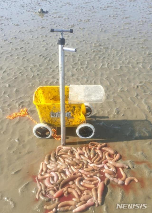 [서울=뉴시스] 일명 '빠라뽕'이라고 불리는 불법 어구.