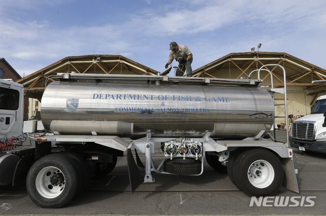 [샌프란시스코=AP/뉴시스]연어 치어의 수송작전에 동원된 탱커 트럭들.&nbsp;&nbsp;&nbsp; 