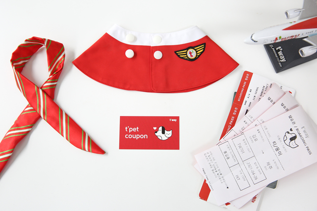 [주목! 이사람]"강아지도 탑승권 드려요"…티웨이항공의 '티펫' 서비스&nbsp; 