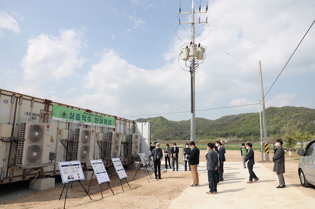 [안동=뉴시스] 지난달 30일 중소벤처기업부와 경북도 관계자들이 헴프 재배 현장을 둘러보고 있다. (사진=경북도 제공) 2021.05.02 *재판매 및 DB 금지