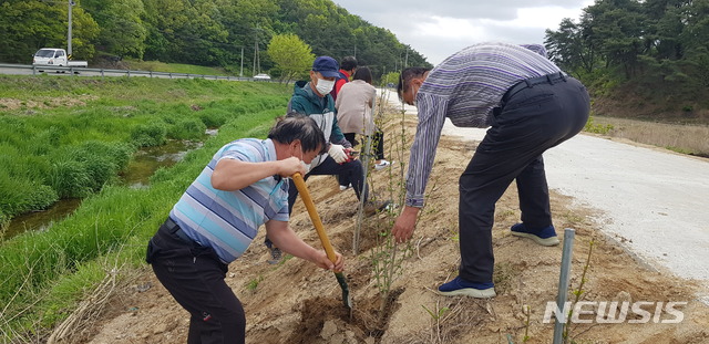 안동시 서후면 금계마을에 영호남 화합을 상징하는 무궁화를 심고 있다. (사진=안동시 제공) *재판매 및 DB 금지