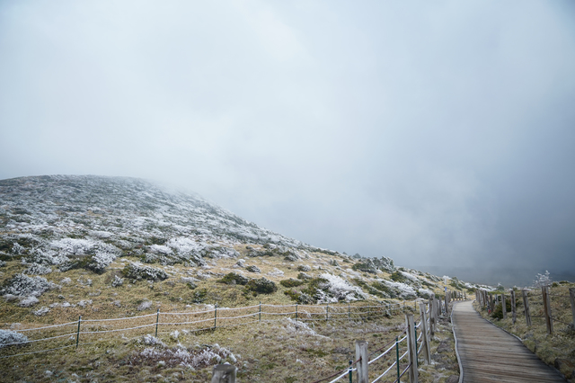 [제주=뉴시스]우장호 기자 = 한라산 최저기온이 영하권으로 떨어진 2일 오전 제주 한라산 윗세오름 탐방로에 눈꽃의 일종인 상고대가 활짝 펴 시선을 사로 잡고 있다. 상고대는 영하의 온도에서 대기 중에 있는 안개·서리 등의 미세한 물방울이 나무 등의 차가워진 물체와 만나 생기는 것으로 '나무서리'라고도 부른다. (사진=독자제공) 2021.05.02. woo1223@newsis.com *재판매 및 DB 금지