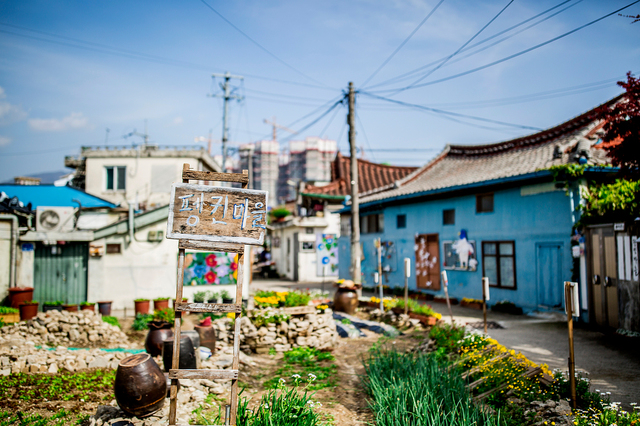 [서울=뉴시스] 광주광역시 펭귄마을 전경 (사진=스카이스캐너 제공) *재판매 및 DB 금지