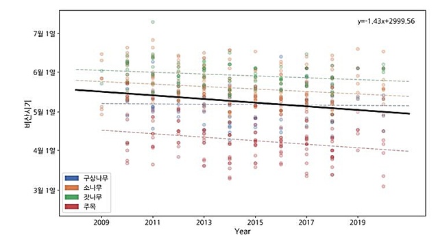 [대전=뉴시스]침엽수 4종의 화분 비산 시기 변화 추세 *재판매 및 DB 금지