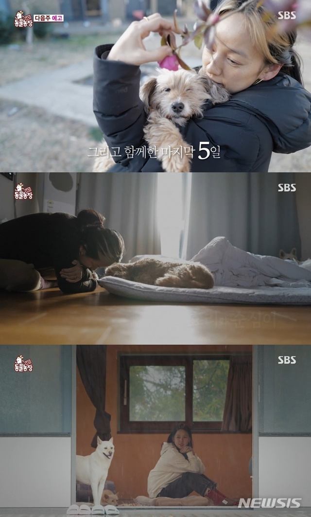 [서울=뉴시스]'TV 동물농장'. (사진=SBS 'TV 동물농장' 제공) 2021.05.10. photo@newsis.com