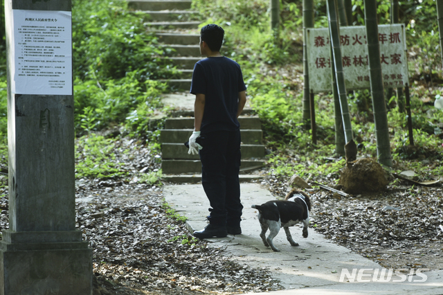 [항저우(중국 저장성)=AP/뉴시스] 9일 중국 저장성 항저우시의 한 동물원 인근 야산에서 한 직원이 수색견과 함께 탈출한 표범을 찾고 있다. 항저시에서는 표범 3마리가 탈출했는데 동물원 측이 일주일 지나 이런 사실을 뒤늦게 알려 논란이 일고 있다. 2021.05.10