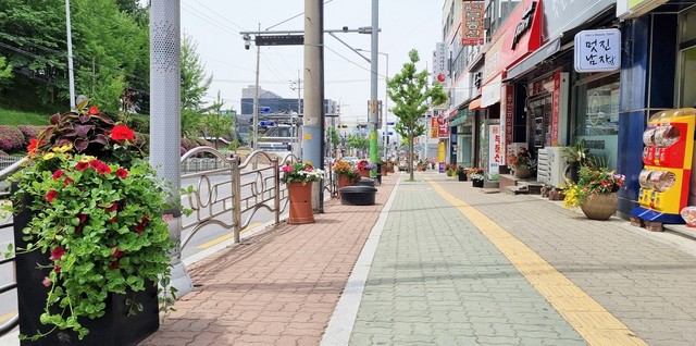 화분으로 장식한 충주 도심 *재판매 및 DB 금지