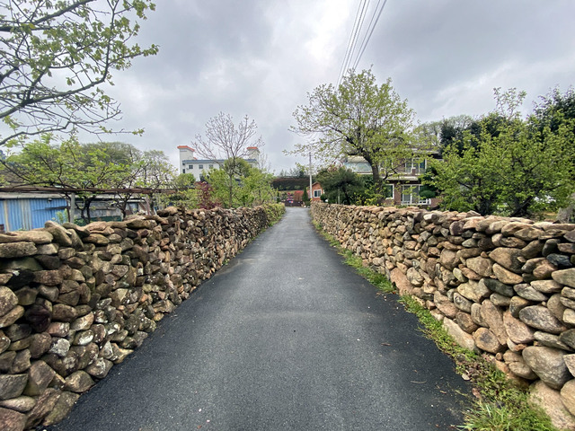 [영암=뉴시스] 죽정마을 돌담길. *재판매 및 DB 금지