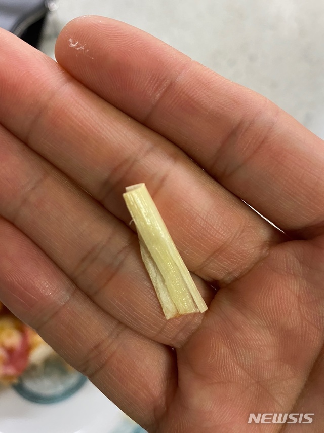 도미노 피자에서 이물질, 플라스틱 조각? 옥수수 심지?